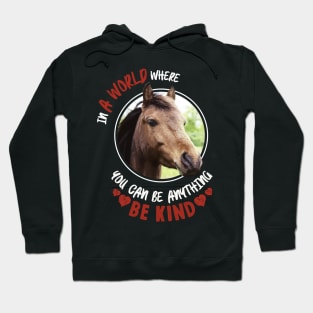 In A World Where You Can Be Anything Be Kind Hoodie